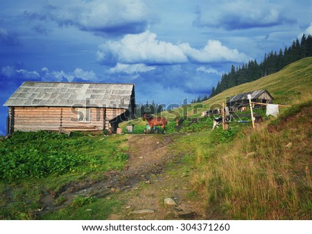 Traditional mountain house on green field in a village in Carpathian mountains