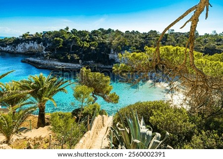 Image, Stock Photo Rock in Mallorca