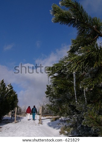 people walking in a winter park