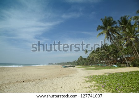 Beautiful coastal landscape on the tropical island Sri Lanka in the Indian Ocean