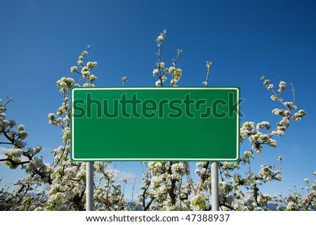 Green blank sign against nature And apple tree blossom