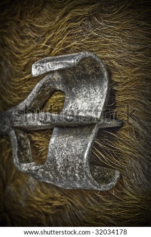 Macro of branding iron looking cold on cow hide.