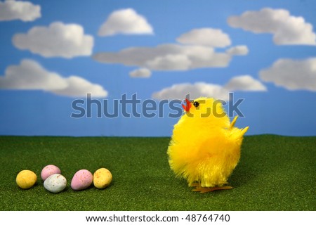 Yellow Chick with Chocolate Eggs Blue Sky 3