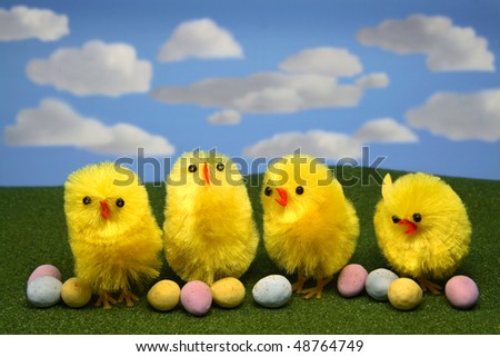 Yellow Chicks with Chocolate Eggs Blue Sky 6