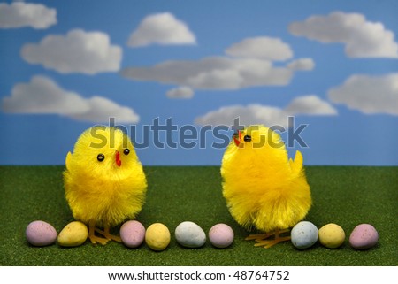 Yellow Chicks with Chocolate Eggs Blue Sky 7