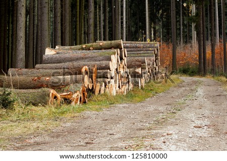 Pile of wood near forest road logs ready for winter
