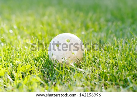 floorbal ball in green grass with sunlight