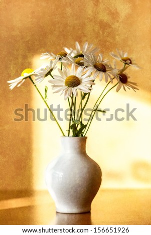 daisy flower in white vase with shallow focus on grunge background