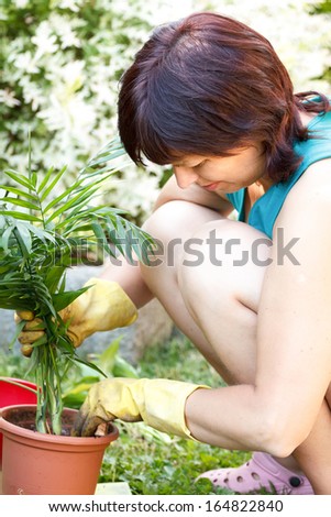 happy middle age woman gardening, offsets the flowers in a pot