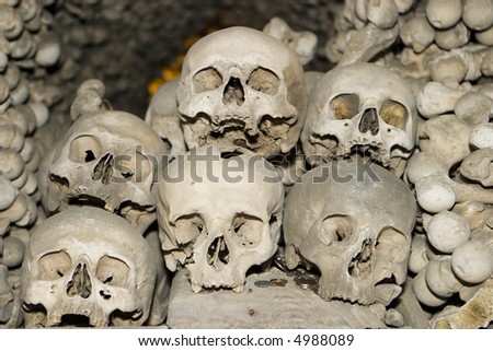 Six human skulls are piled on top of each other in a ossuary (or bone church) located in the Czech Republic. A scary image for Halloween!