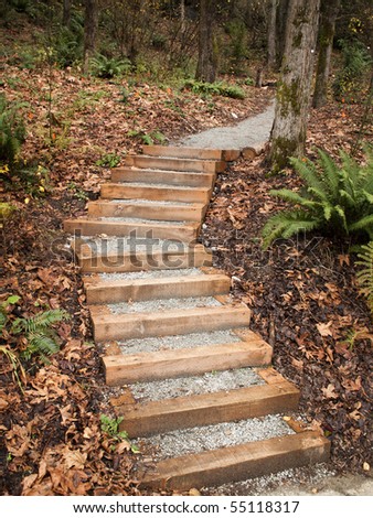 A set of new steps into Interlaken Park in Seattle designed and built as an Eagle Scout project by the Boy Scouts.
