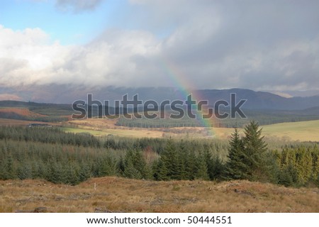 Rainbow over forest near Aberfoyle Scotland