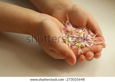 child holds flower\'s petals in hands