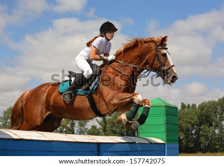 Horse and rider in helmet jumps a show jumping course over fences