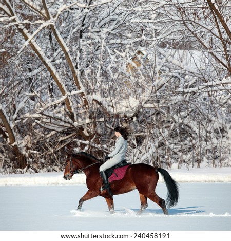 Young woman horseback riding in the snow