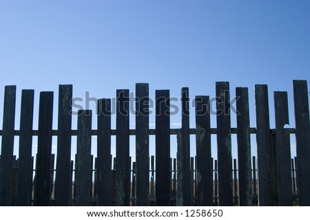A line of dark wooden fence posts.
