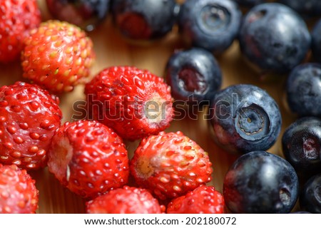 Wild berries strawberries and blueberries, close up