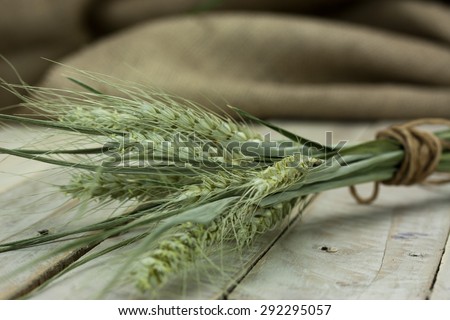 Dried wheat and straw on a rustic looking surface.