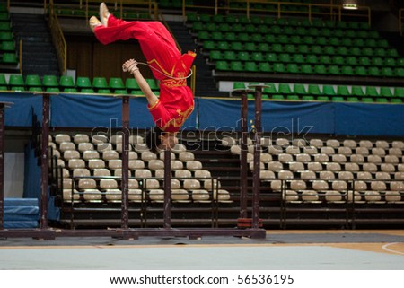 MODENA, ITALY - FEBRUARY 02: Students form Beijing sports university, perform Wushu Kung Fu routines during the show in Modena, Italy on february 2, 2010 at Palapanini building.