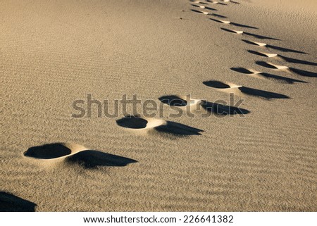 The setting sun highlights a lone set of foot prints through the sand dunes in Death Valley.