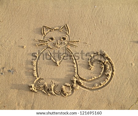 The image of a cat on wet sand