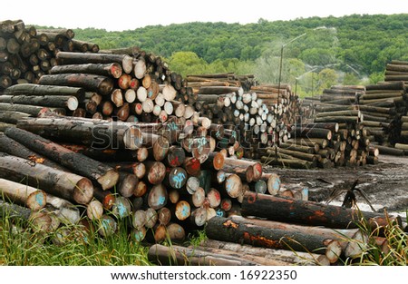 Deforestation Stock Photo 16922350 : Shutterstock