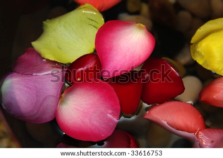Flower petals floating in water at a spa