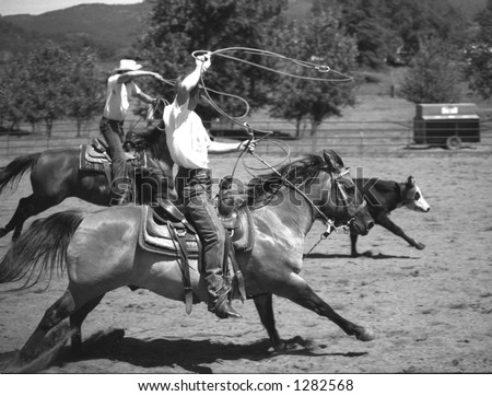 Team Roping Stock Photo 1282568 : Shutterstock