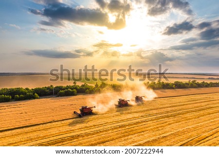 Foto Bild Luftaufnahme von Mähdrescher, Erntemaschine erntet reife Sonnenblume