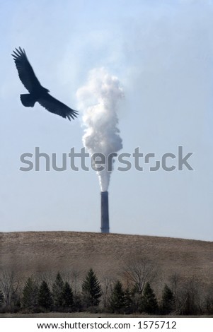 eagle flying over smokestack, harming the environment.