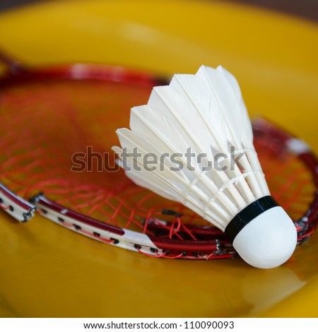 shuttlecock and broken racket at badminton courts.