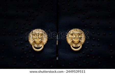 Similar – Image, Stock Photo Golden lion on the top of St Mark’s Basilica (San Marco) in Venice, Italy