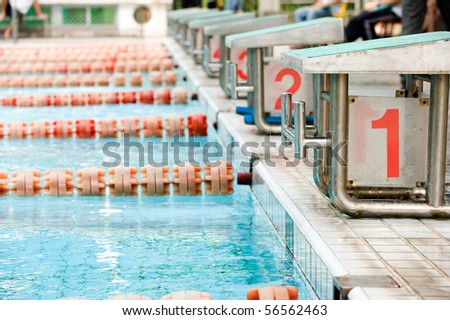 Start position with numbers  in competition swimming pool.