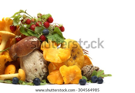 Mushrooms, berries, pine cones, strawberries and blueberries isolated on white background. gifts of the forest.