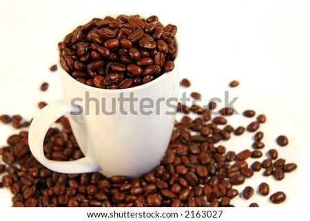 Cup of java beans in a cup