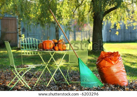 Pumpkins on the table with rake for an afternoon of raking leaves