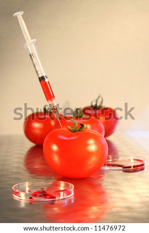 Close-up of syringe in tomato for genetic research