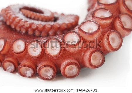 tentacles of octopus