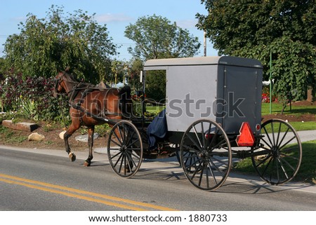 Horse Pulling Carriage Stock Photo 1880733 : Shutterstock