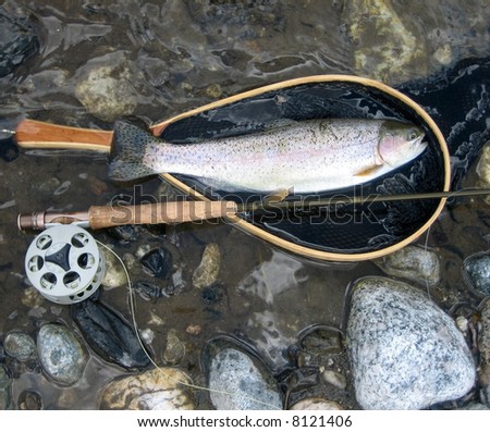 top view of large trout with fish net and rod and reel