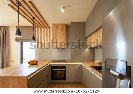 Beautiful Grey Modern Kitchen in a Luxury Apartment with Stainless Steel Appliances 