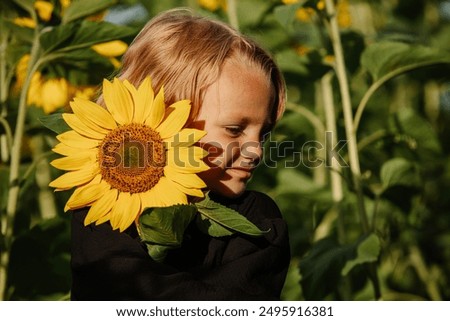 Similar – Foto Bild chica sujetando girasoles en el balcon