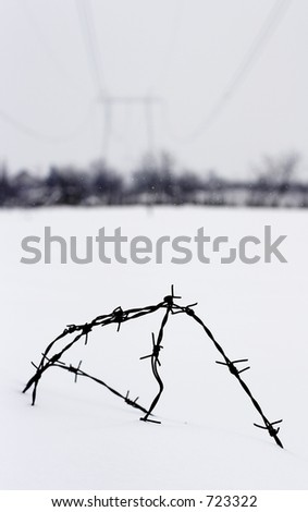 barbed wire in snow