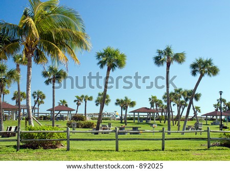 Palm tree lined park in the warm Florida sunshine. A beach access point, though not visible in image.