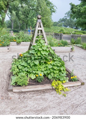 Raised garden beds in neighborhood garden