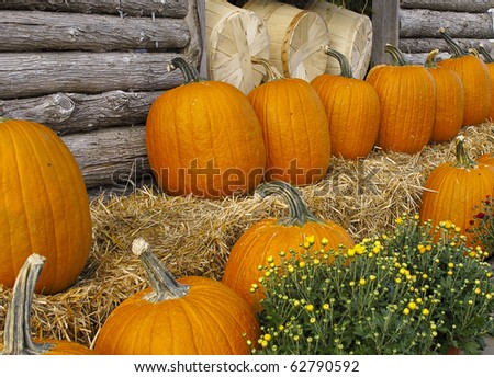 Pumpkins on display outside log barn