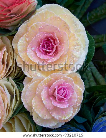 two gloss painted cauliflowers, floral background