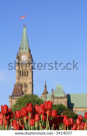 Canadian Tulip Festival. Parliament buildings. Ottawa, Ontario. Canada (focus on tulips).