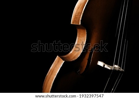 Similar – Image, Stock Photo Close up contrabass
