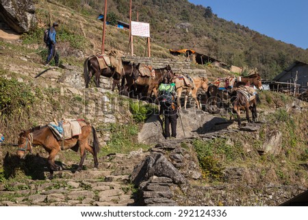 NARCHYANG, NEPAL-MARCH 19: Himalayas people 19, 2015 in Narchyang, Nepal. People on the track to the Annapurna Base Camp.